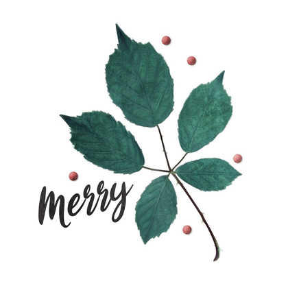 Picture of MERRY LEAVES