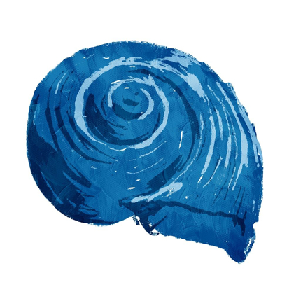 Picture of BLUE SHELL