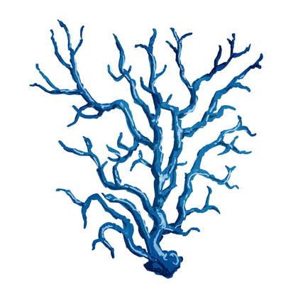 Picture of BLUE CORAL