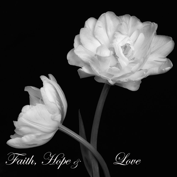 Picture of FAITH HOPE LOVE