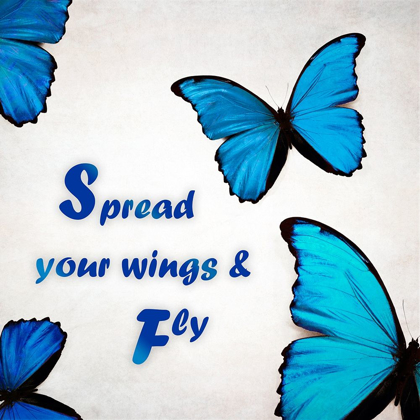 Picture of SPREAD YOUR WINGS