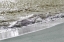 Picture of WAVE AND SAND A
