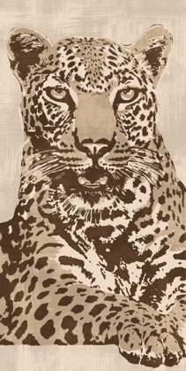 Picture of LEOPARD