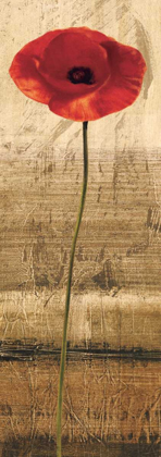 Picture of POPPY PANEL II