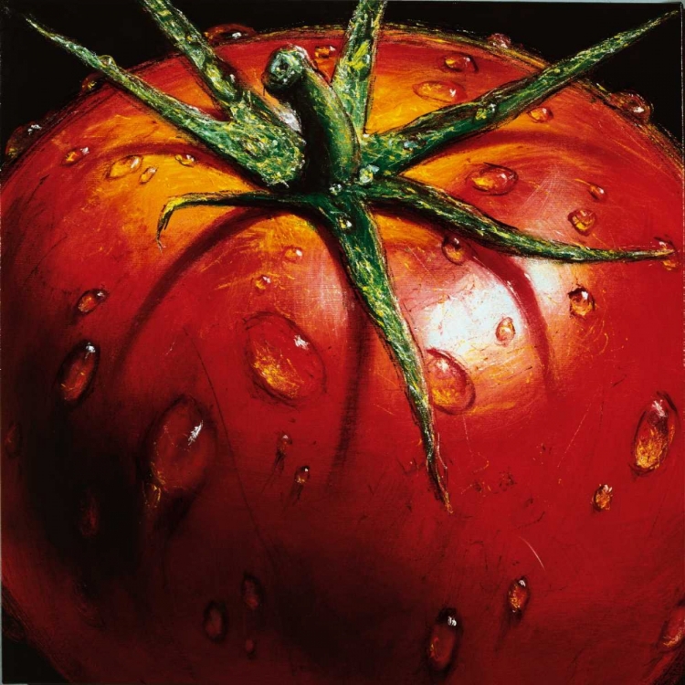 Picture of TOMATO