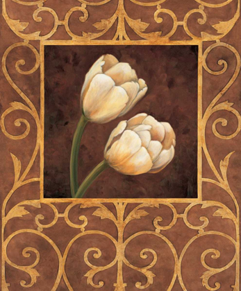Picture of ORNAMENTAL TULIPS