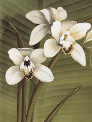 Picture of ORCHID WITH PALM I