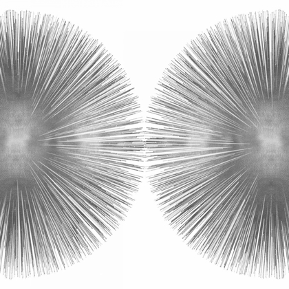 Picture of SILVER SUNBURST II