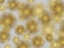 Picture of SUNBURST CLUSTER