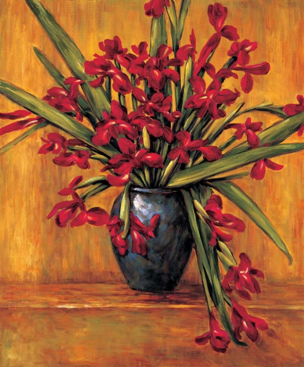 Picture of RED IRISES