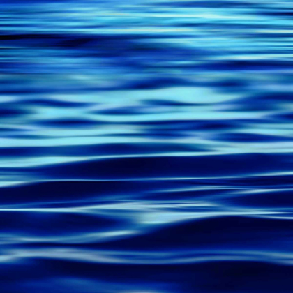 Picture of DEEP BLUE SEA