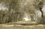 Picture of SHADED PATH II