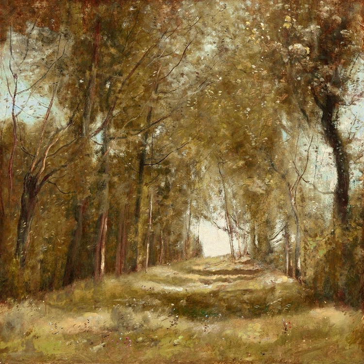 Picture of SHADED PATH I