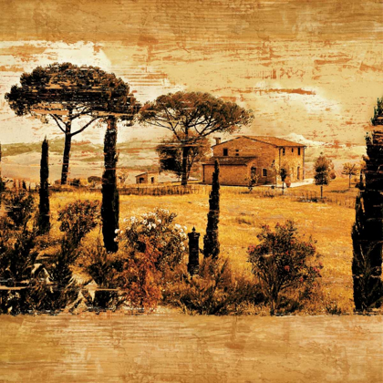 Picture of TUSCAN COUNTRYSIDE I