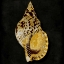 Picture of GOLDEN OCEAN GEMS III