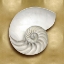 Picture of OCEAN GEM ON GOLD II