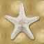 Picture of OCEAN GEM ON GOLD VI