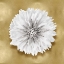 Picture of PURE IV