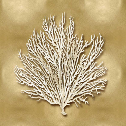 Picture of SEA FAN ON GOLD I