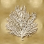 Picture of SEA FAN ON GOLD I