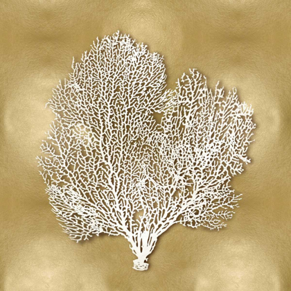 Picture of SEA FAN ON GOLD II