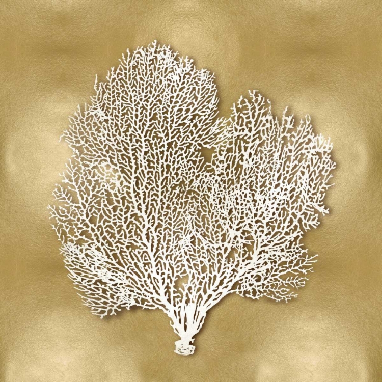 Picture of SEA FAN ON GOLD II