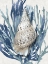 Picture of SHELL CORAL AQUA BLUE I