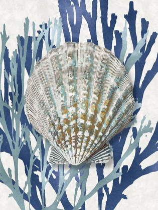 Picture of SHELL CORAL AQUA BLUE IV