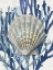 Picture of SHELL CORAL AQUA BLUE IV
