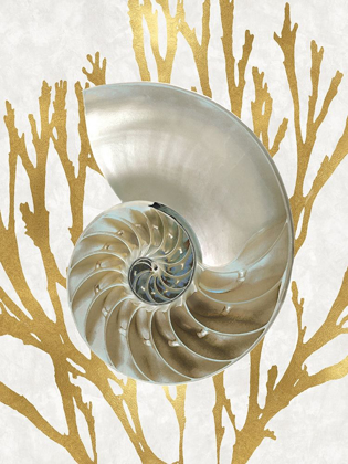 Picture of SHELL CORAL GOLD II