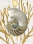 Picture of SHELL CORAL GOLD II
