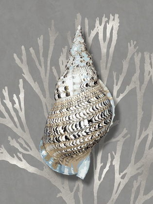 Picture of SHELL CORAL SILVER ON GRAY I