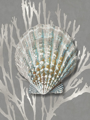 Picture of SHELL CORAL SILVER ON GRAY IV