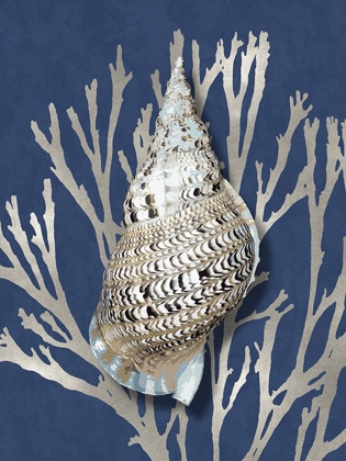 Picture of SHELL CORAL SILVER ON BLUE I