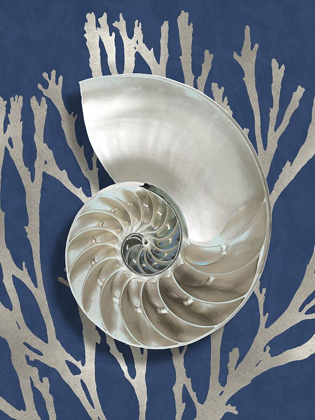 Picture of SHELL CORAL SILVER ON BLUE II