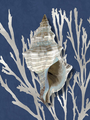 Picture of SHELL CORAL SILVER ON BLUE III