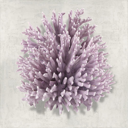Picture of CORAL AMETHYST I
