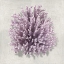Picture of CORAL AMETHYST I