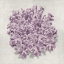 Picture of CORAL AMETHYST II