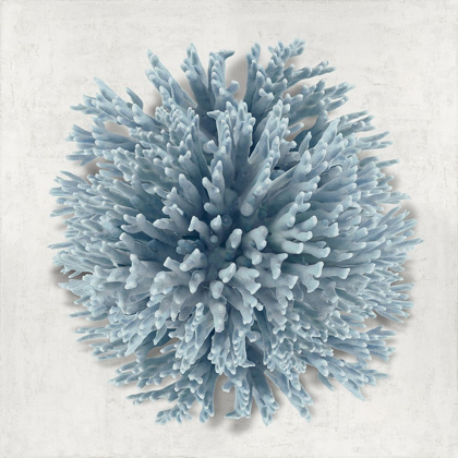 Picture of CORAL BLUE I