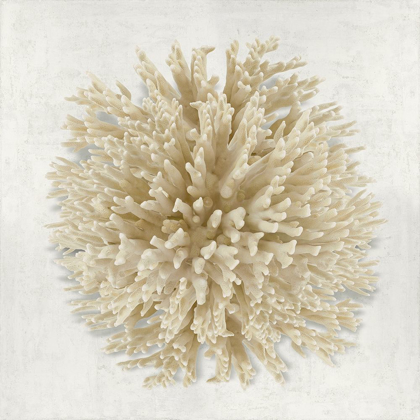 Picture of CORAL CREAM I