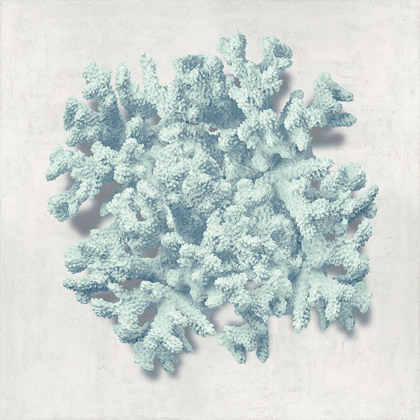 Picture of CORAL MINT II