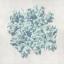 Picture of CORAL MINT II