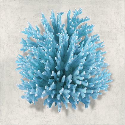 Picture of CORAL AQUA I