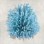 Picture of CORAL AQUA I