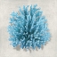 Picture of CORAL AQUA I