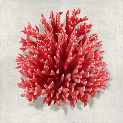Picture of CORAL RED I