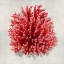 Picture of CORAL RED I