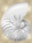 Picture of SILVER PEARL SHELL ON GOLD III