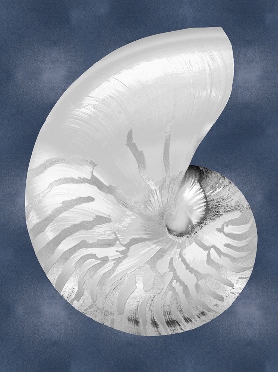 Picture of SILVER SHELL ON INDIGO BLUE II
